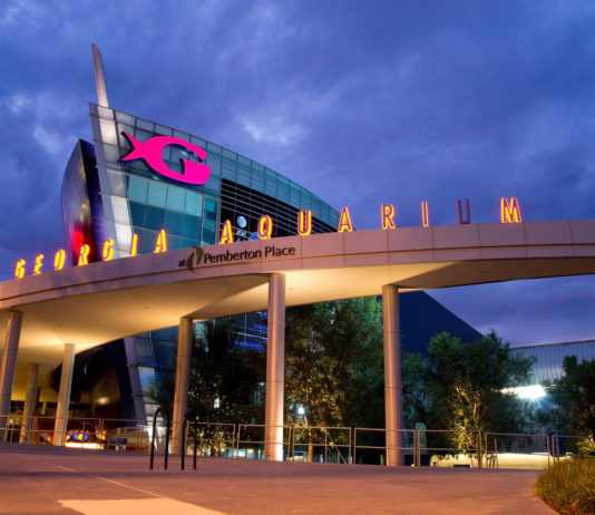 Georgia Aquarium otters test positive for coronavirus Georgia aquarium building against cloudy, early evening sky