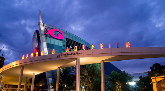 Georgia Aquarium otters test positive for coronavirus Georgia aquarium building against cloudy, early evening sky