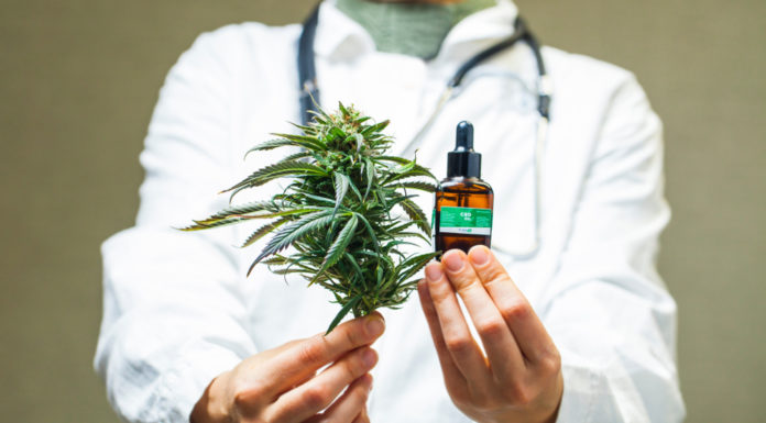 Impatience grows over Georgia’s pending medical marijuana licenses Doctor,Hand,Hold,And,Offer,To,Patient,Medical,Marijuana,And