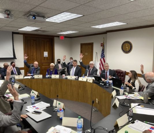 Panel passes Georgia Senate map that projects 33-23 GOP edge GA Senate redistricting debate: 5 men in gray suits at a roundtable with 2 ladys they are sitting in front of two american flags with people in mask filling the rest of the room