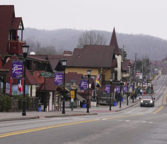 ‘Whoa, that’s not right’: Georgia towns lead census appeals Downtown street with black light poles down the entire road with purple signs hanging