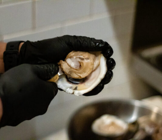 Georgia’s fledgling oyster industry struggles to meet demand inside of an oyster being held by hands in black gloves