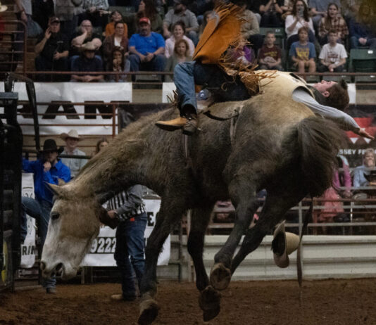 Georgia’s only national rodeo keeps thrill-seeking cowboys, cowgirls and fans coming back Bareback rider Isaac Ingram on the unnamed horse he was assigned for the rodeo. (Alex Guevara/Fresh Take Georgia)