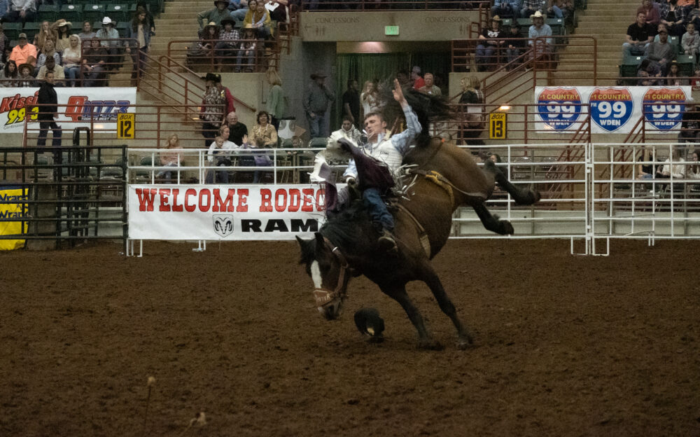 only national rodeo keeps thrillseeking cowboys, cowgirls