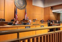 Smyrna takes first step to approve new city council wards several people sit in government chambers during an official meeting