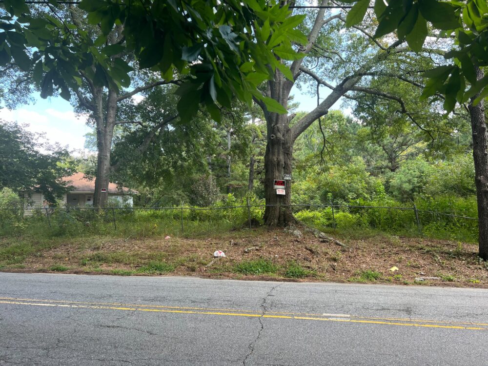 Vacant lot for sale with lots of trees and overgrowth next to a road, separated by a fence