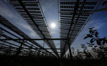 Korean firm plans $2.5B in new solar panel plants in Georgia Line of black solar panels shot from below with sun and blue sky above