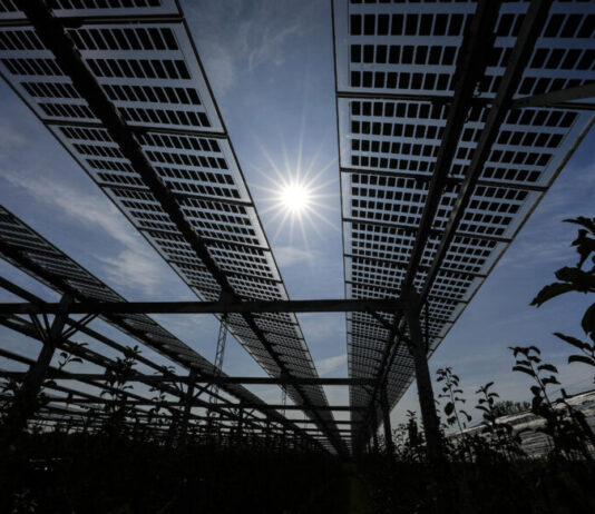 Korean firm plans $2.5B in new solar panel plants in Georgia Line of black solar panels shot from below with sun and blue sky above
