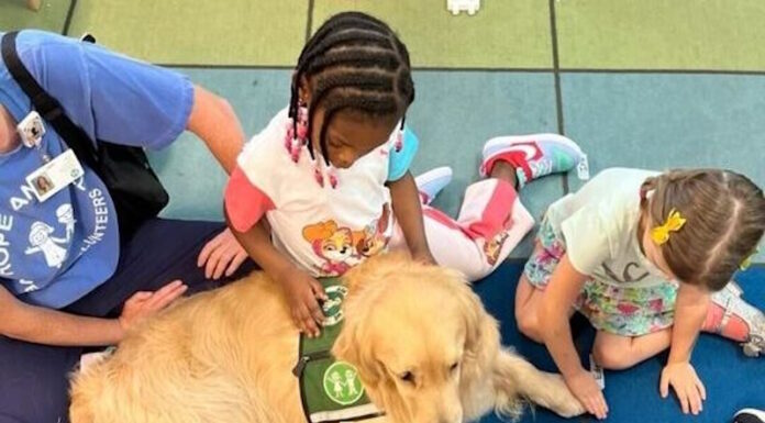 Everyday Hero: Reggie lends a helping paw GA Everyday Heroes: Helping Paw - Several; young children and an adult sitting on floor in circle around large, golden-furred dog wearing a green vest