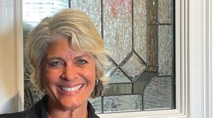 Everyday Hero: Andrea Hancock dreams of a night when bed bugs don’t bite GA Everyday Heroes: Headshot Andrea Hancock middle-aged woman with short silver hair in black shirt with P.E.S.T. round logo in white, in front of leaded glass window of red brick building