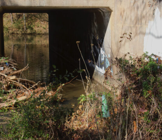 How west Atlanta’s residents fight environmental racism, injustice A concrete bridge sits above a creek with a dam full of sticks and plastic garbage. Bushes along the creekside are also full of discarded water bottles and plastic bags.