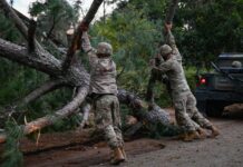 Governor Brian Kemp seeks more aid for Hurricane Helene recovery Three Georgia Army National Guards clear a downed tree from the road.