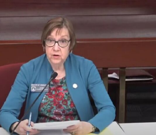 Georgia bill to limit repeat reckless drivers’ speed stalls in Committee Sen. Kay Kirkpatrick R-Marietta speaking to the House Motor Vehicles Committee on S.B. 160 (Courtesy of the Georgia General Assembly).