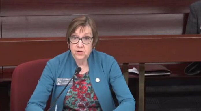 Georgia bill to limit repeat reckless drivers’ speed stalls in Committee Sen. Kay Kirkpatrick R-Marietta speaking to the House Motor Vehicles Committee on S.B. 160 (Courtesy of the Georgia General Assembly).