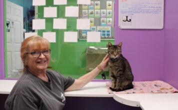 Good Mews’s modern day hero Cat Pawsitive training session with Leslie Cooper (left) and Porter (right). (Gabby Miller/Fresh Take Georgia)