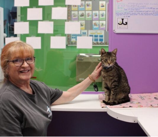 Good Mews’s modern day hero Cat Pawsitive training session with Leslie Cooper (left) and Porter (right). (Gabby Miller/Fresh Take Georgia)