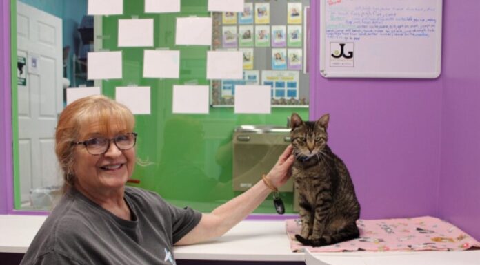 Good Mews’s modern day hero Cat Pawsitive training session with Leslie Cooper (left) and Porter (right). (Gabby Miller/Fresh Take Georgia)