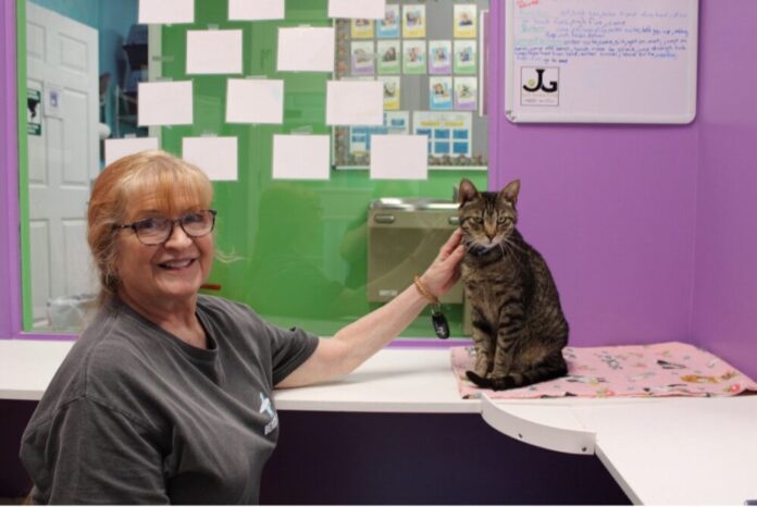 NEWS_2025_06_09_GoodMews Cat Pawsitive training session with Leslie Cooper (left) and Porter (right). (Gabby Miller/Fresh Take Georgia)