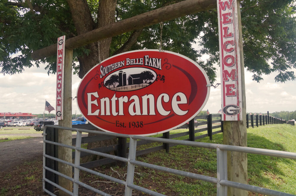 The main entrance to Southern Belle Farms in McDonough, Georgia on Saturday, June 14, 2025. (Juliane Balog/Fresh Take Georgia)