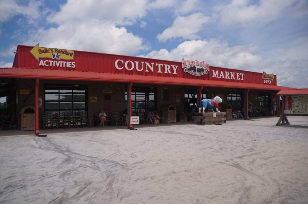 The Southern Belle Country Market is nestled between the u-pick entrance and the Belles BarnYard activity area in McDonough, Georgia on Saturday, June 14, 2025. (Juliane Balog/Fresh Take Georgia)