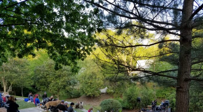 Cabbagetown neighborhood leads efforts to revitalize local amphitheater The people of Cabbagetown gather at the amphitheatre, pre-construction, for the Cabbagetown concert series.